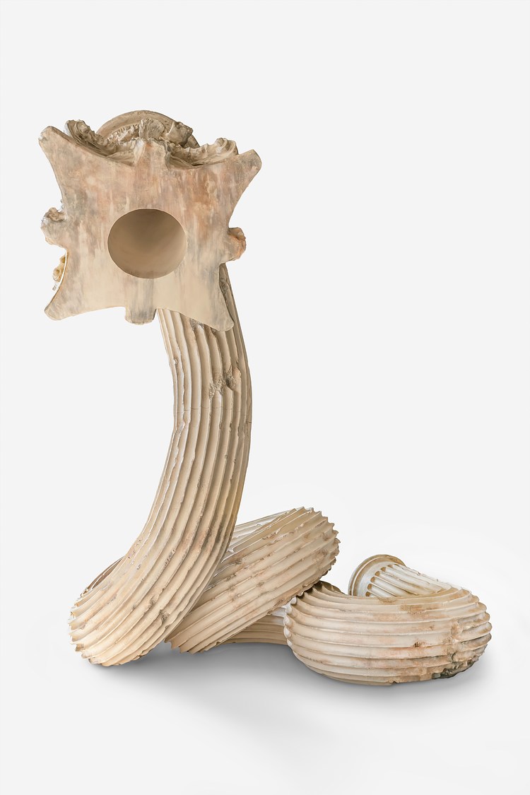 アート・デザイン・音楽 The Zhenru House's Collection XU ZHEN® | Contemporary Art Library