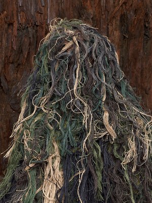 Image 15 of 19