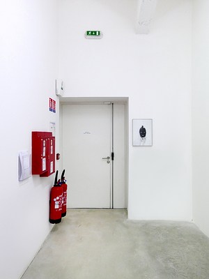 Image 11 of 17