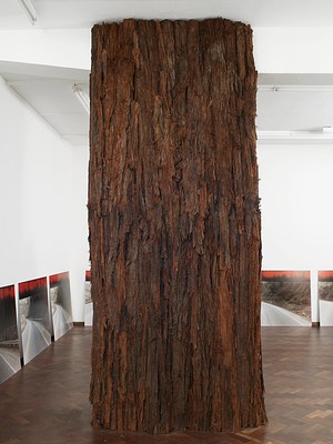Image 7 of 19