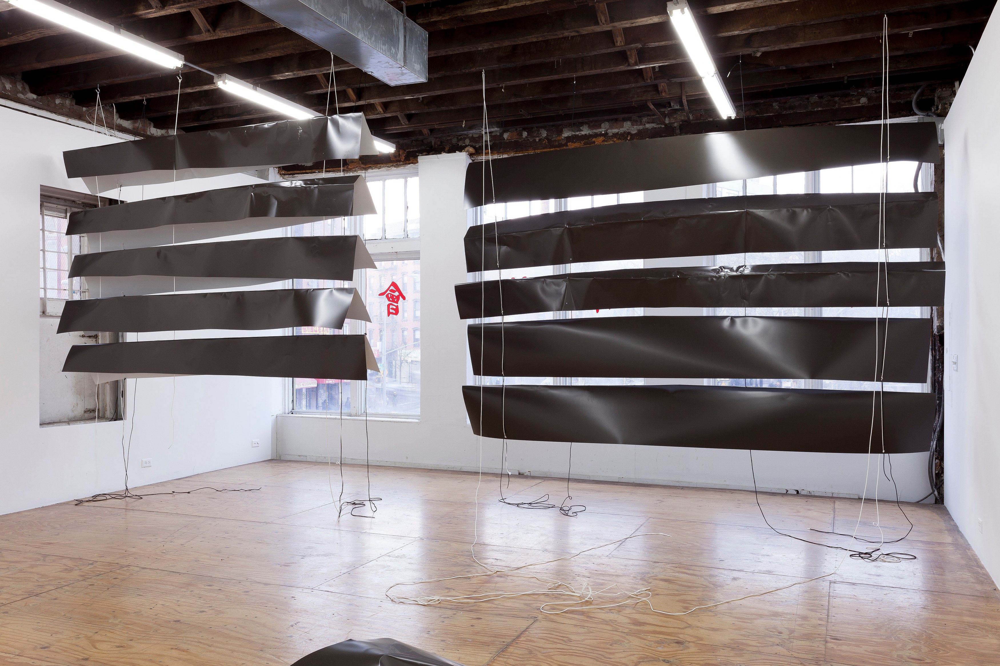 Nora Schultz, I Am Honda at Reena Spaulings Fine Art, photo 4