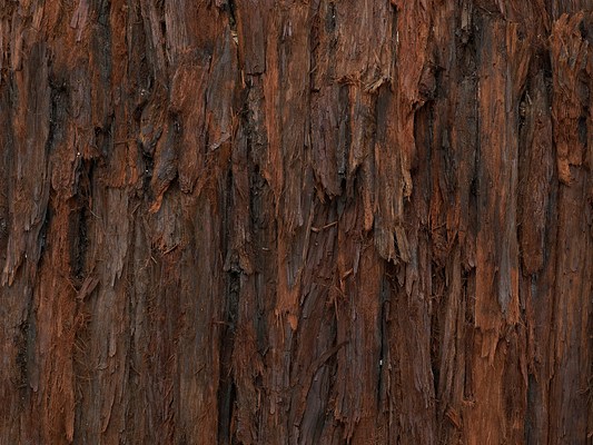 Image 16 of 19