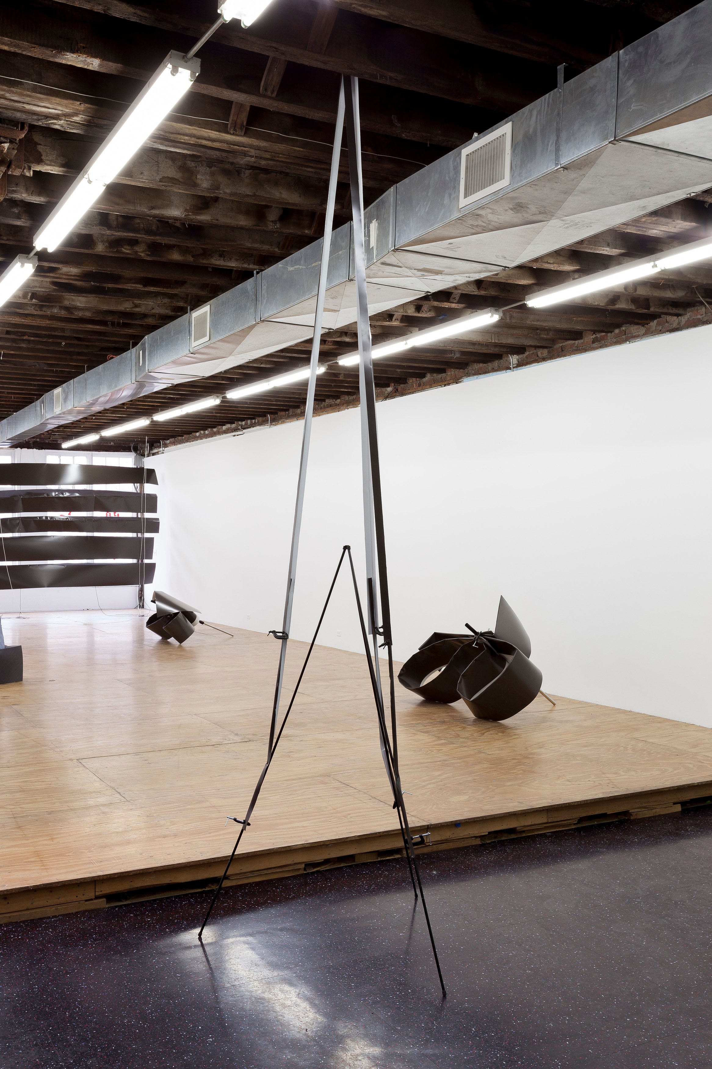 Nora Schultz, I Am Honda at Reena Spaulings Fine Art, photo 8