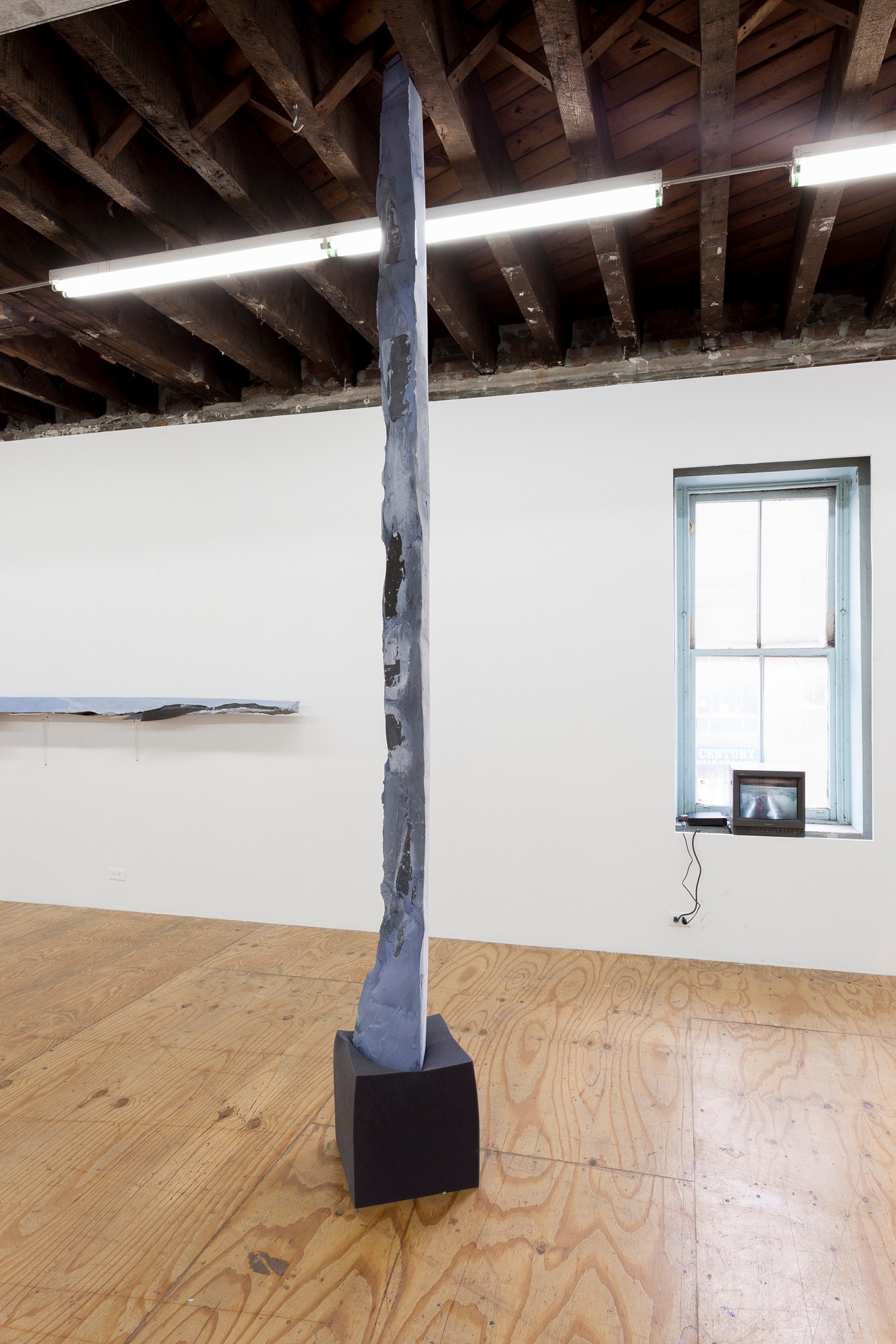 Nora Schultz, I Am Honda at Reena Spaulings Fine Art, photo 10