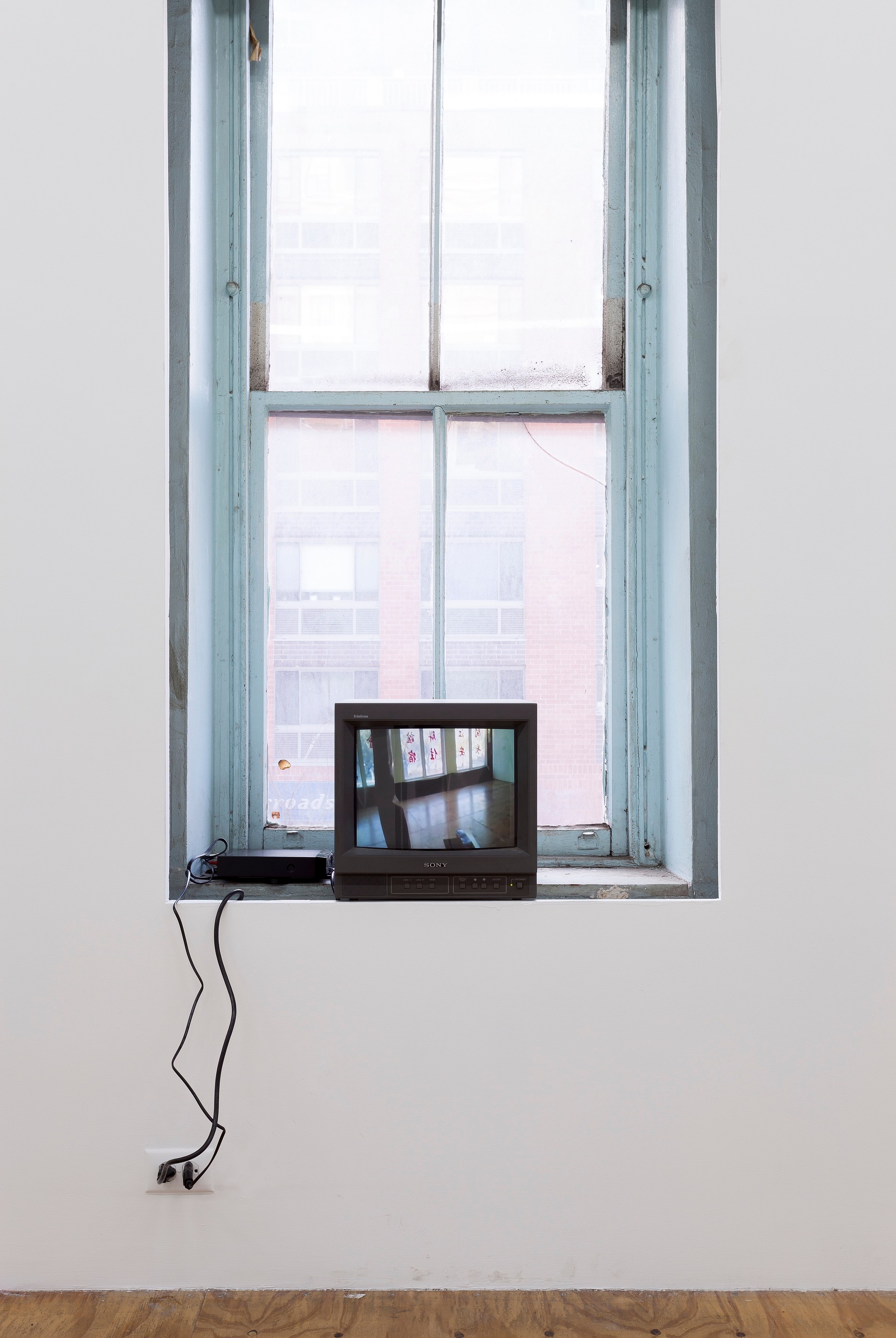 Nora Schultz, I Am Honda at Reena Spaulings Fine Art, photo 11