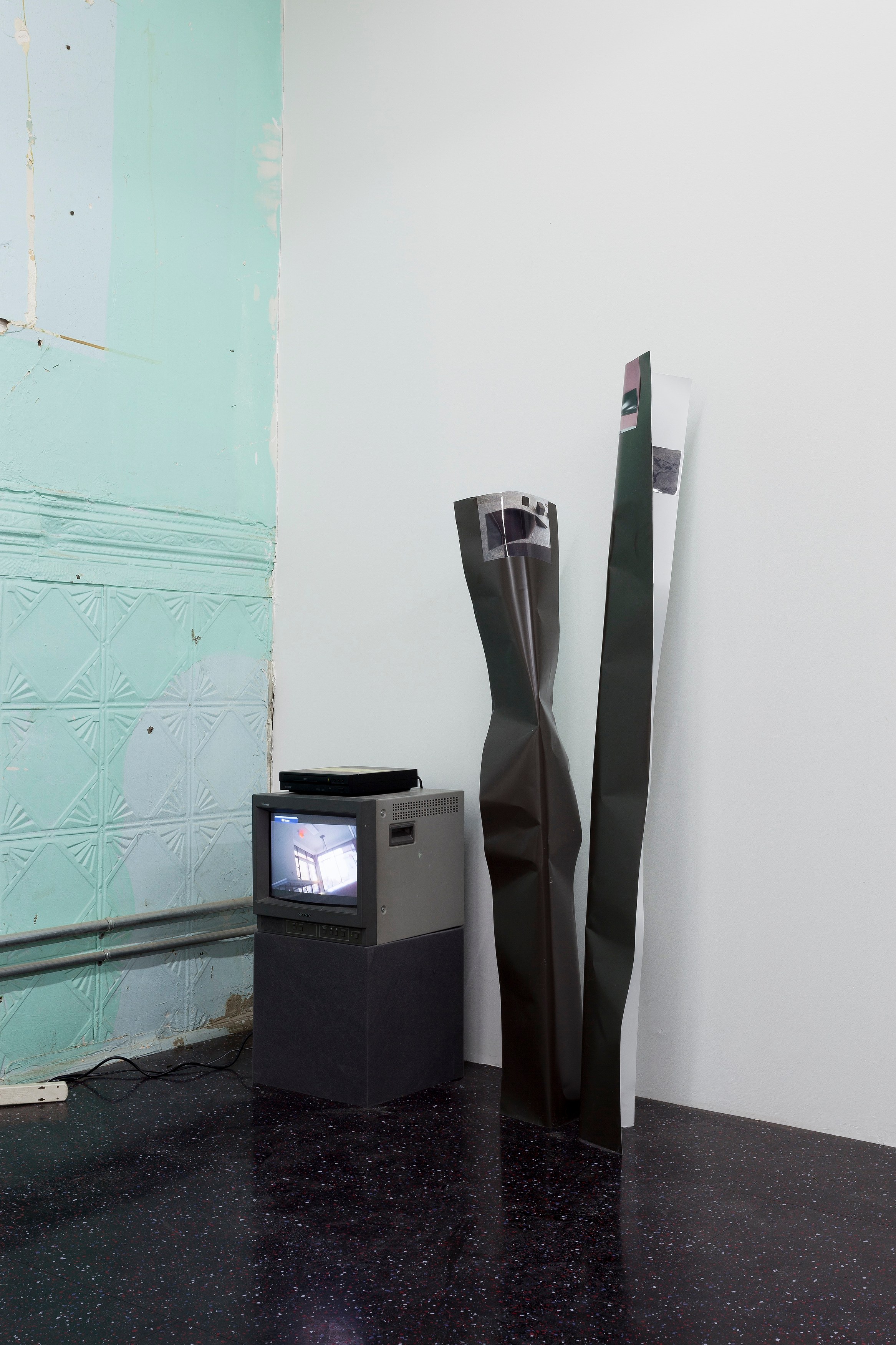 Nora Schultz, I Am Honda at Reena Spaulings Fine Art, photo 14