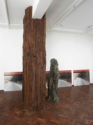 Image 9 of 19