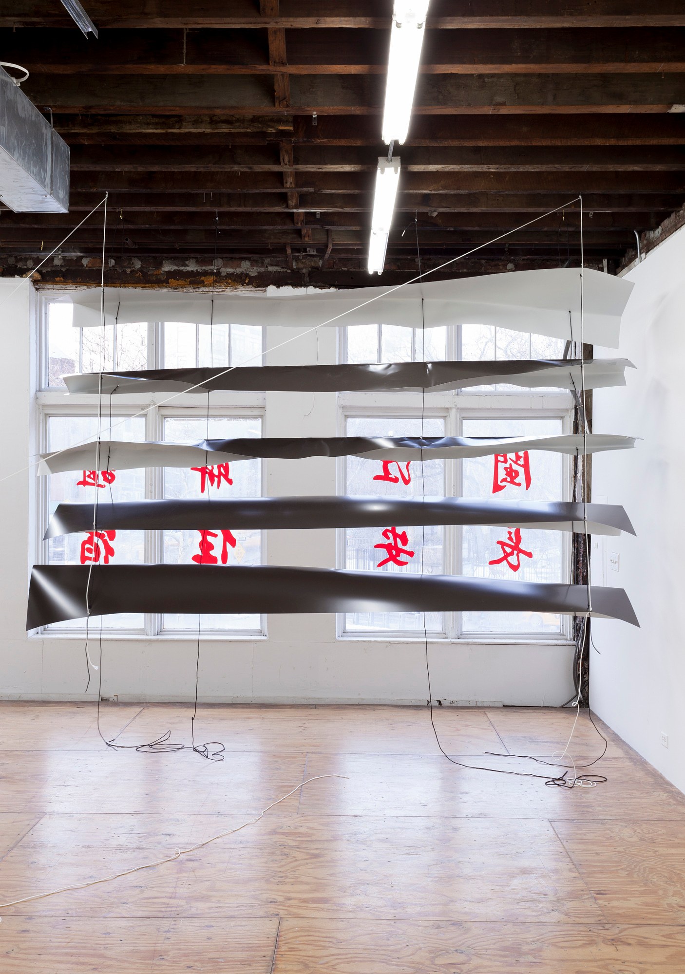 Nora Schultz, I Am Honda at Reena Spaulings Fine Art, photo 20