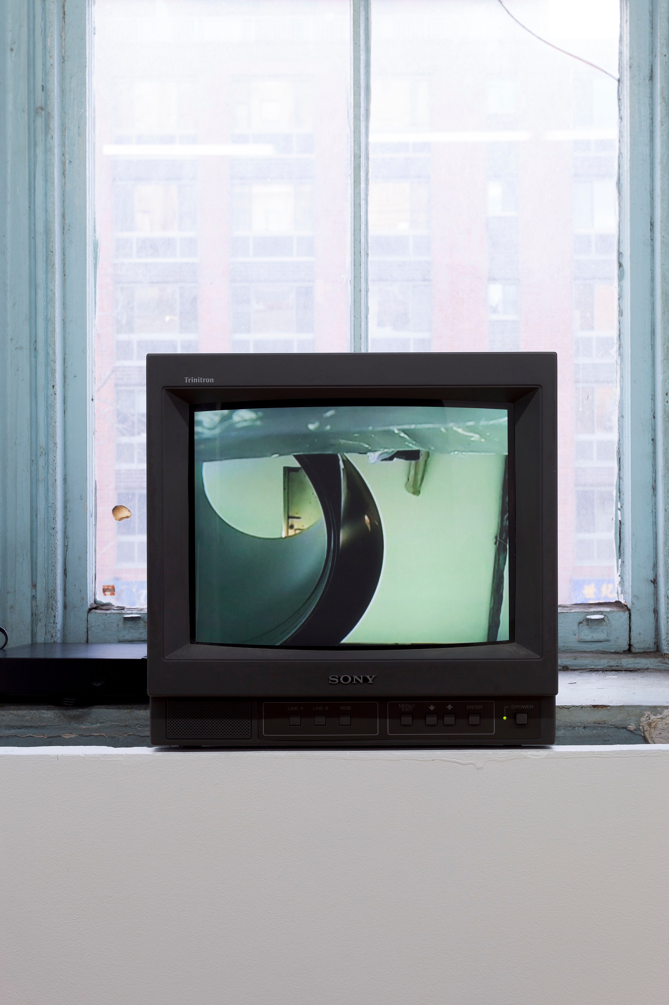 Nora Schultz, I Am Honda at Reena Spaulings Fine Art, photo 23