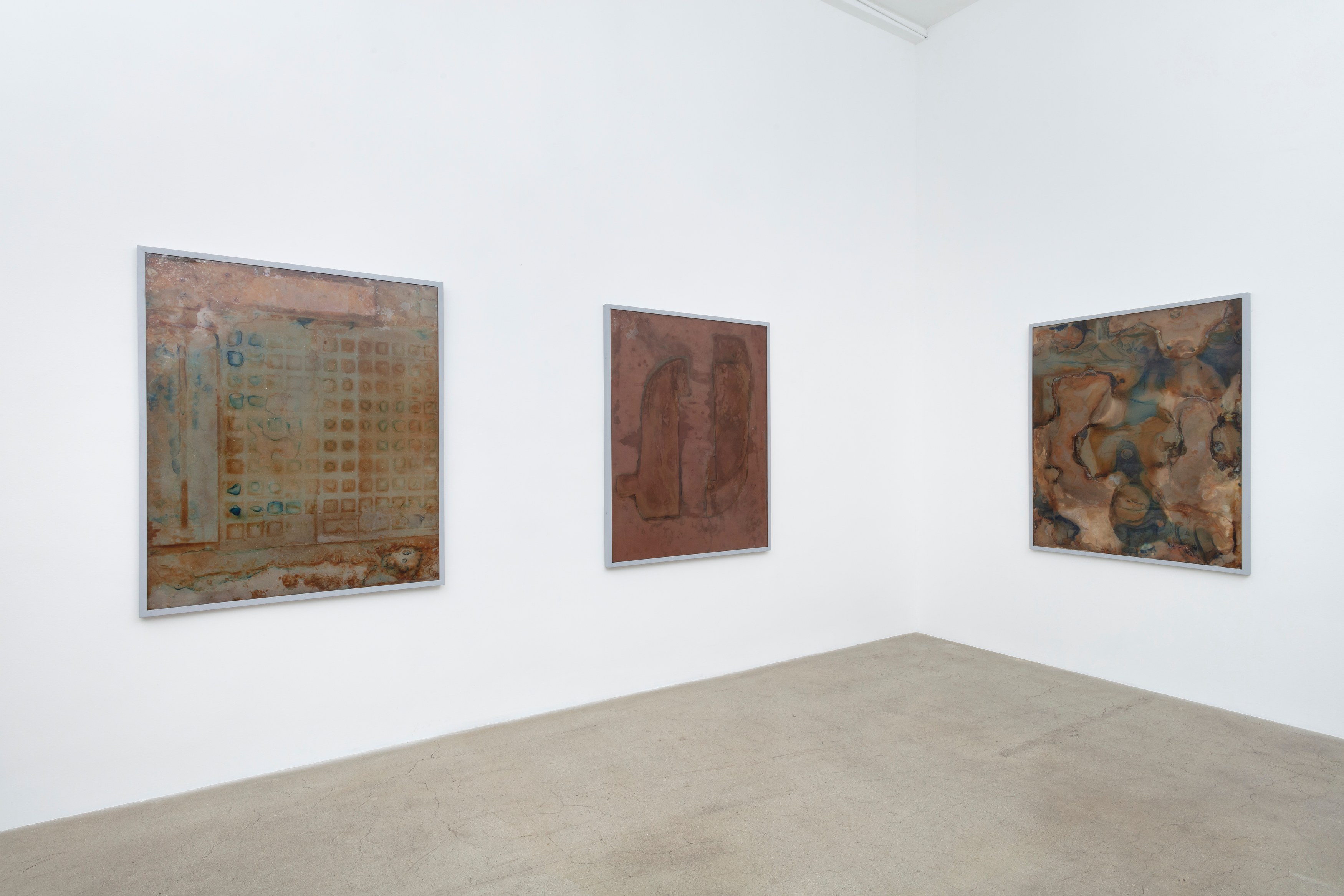 Ben Borden, Bloom at NOON Projects, photo 7