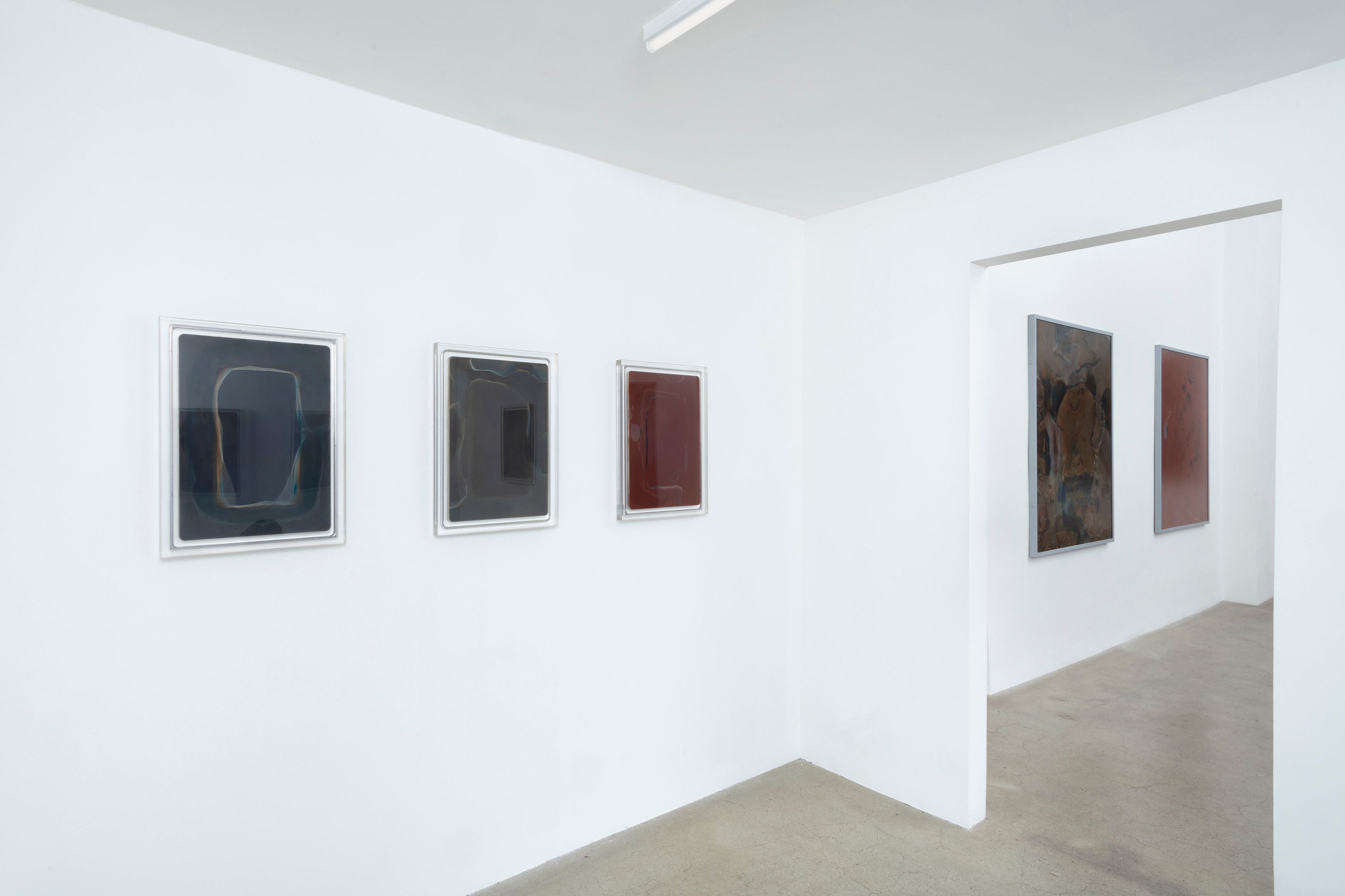 Ben Borden, Bloom at NOON Projects, photo 13