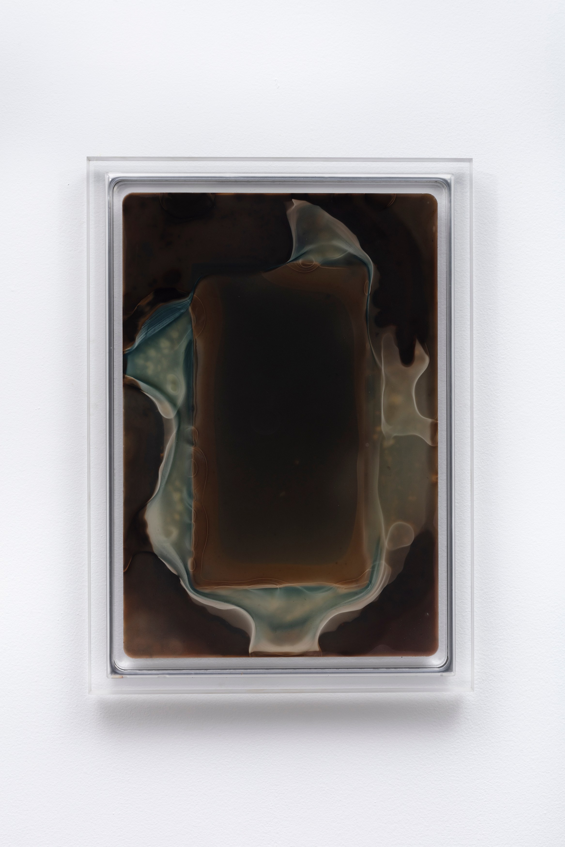 Ben Borden, Bloom at NOON Projects, photo 22