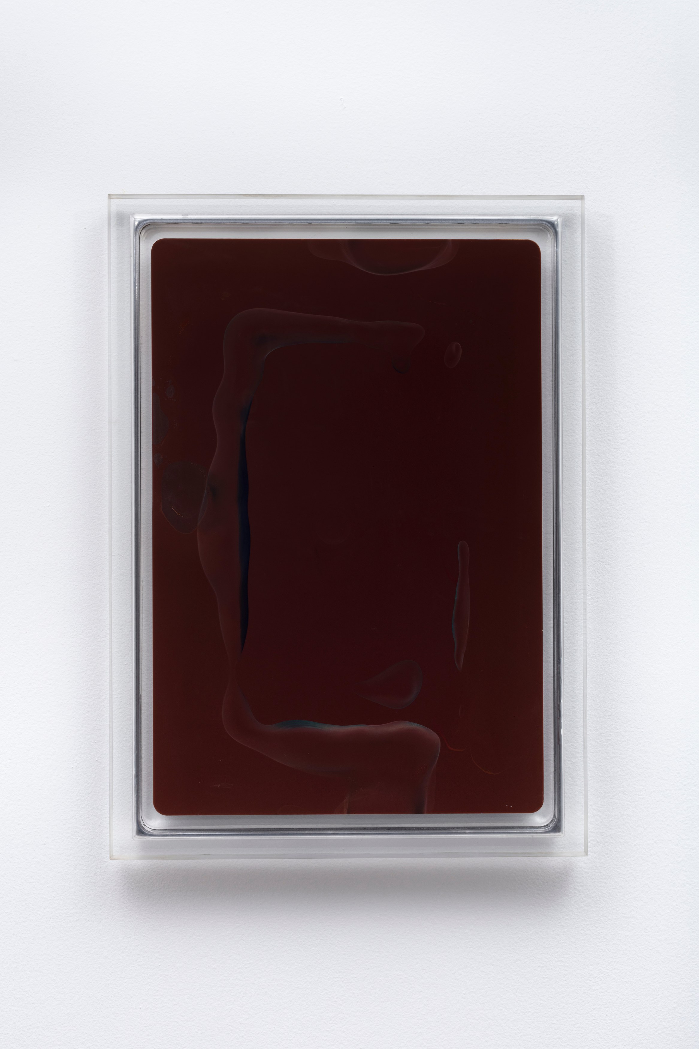 Ben Borden, Bloom at NOON Projects, photo 25