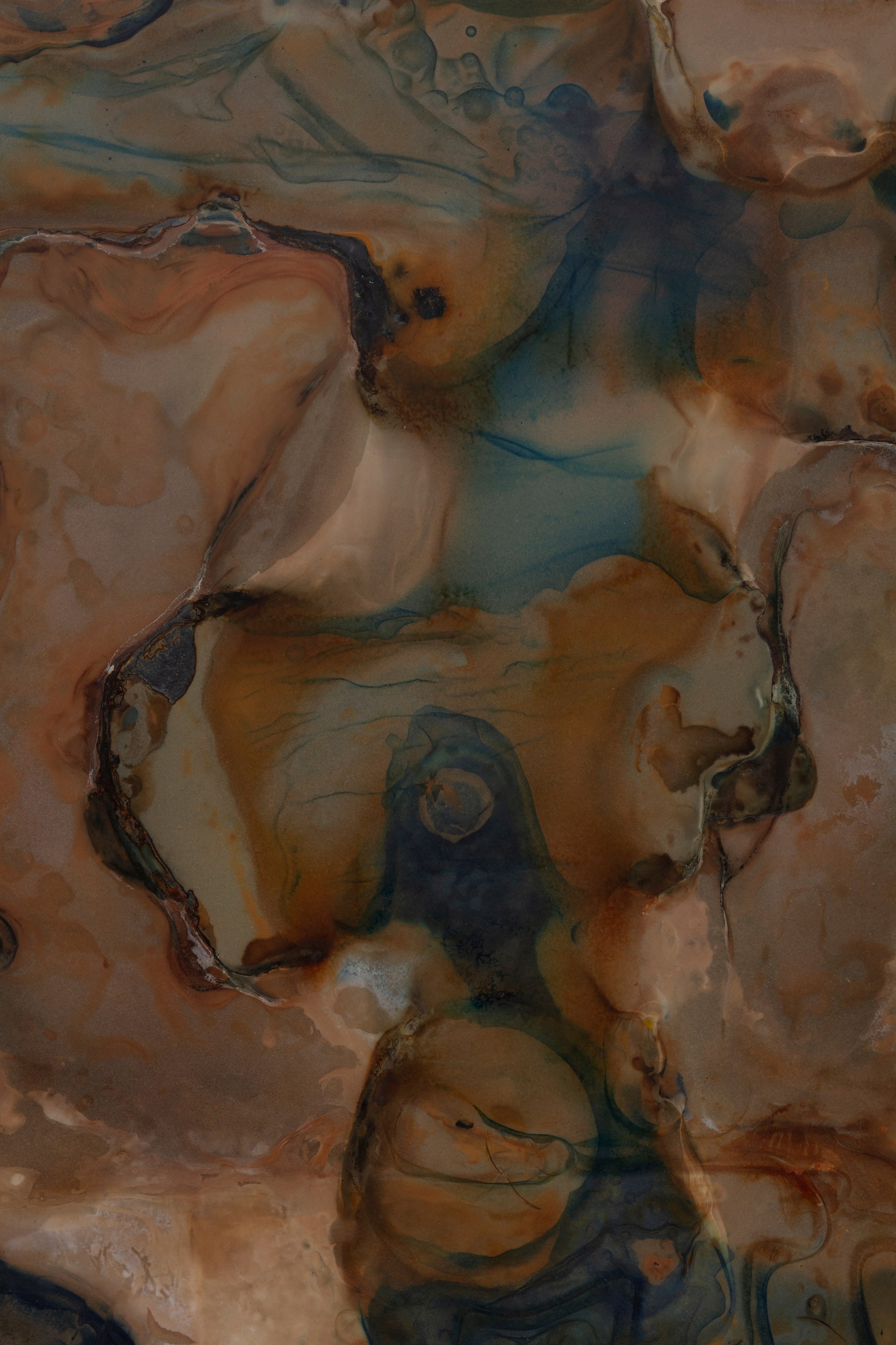 Ben Borden, Bloom at NOON Projects, photo 29