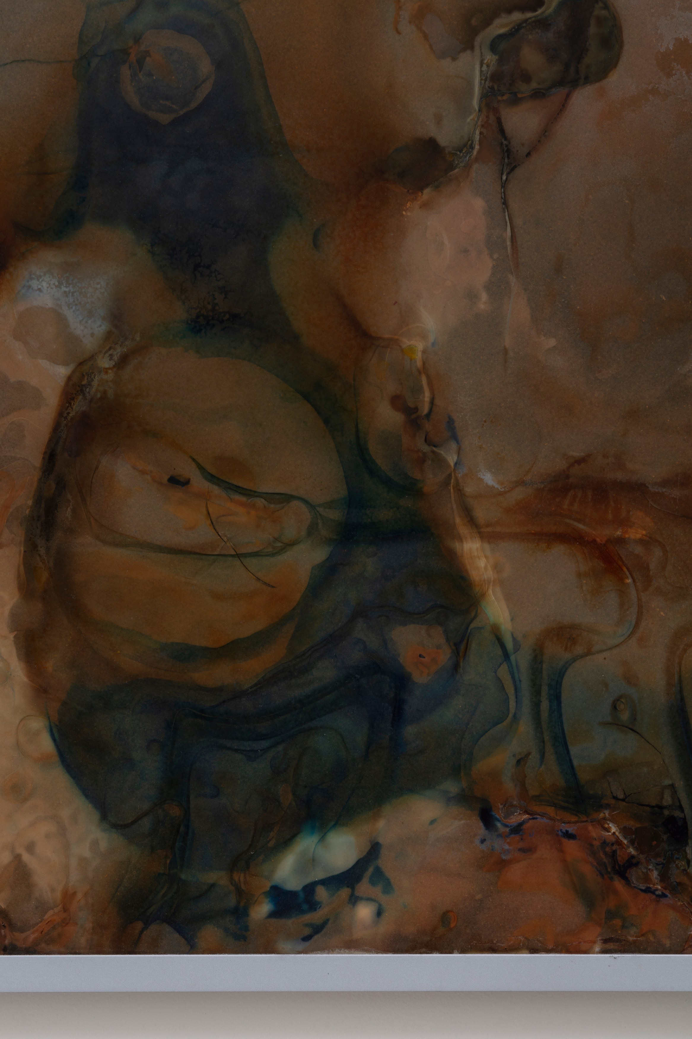 Ben Borden, Bloom at NOON Projects, photo 32