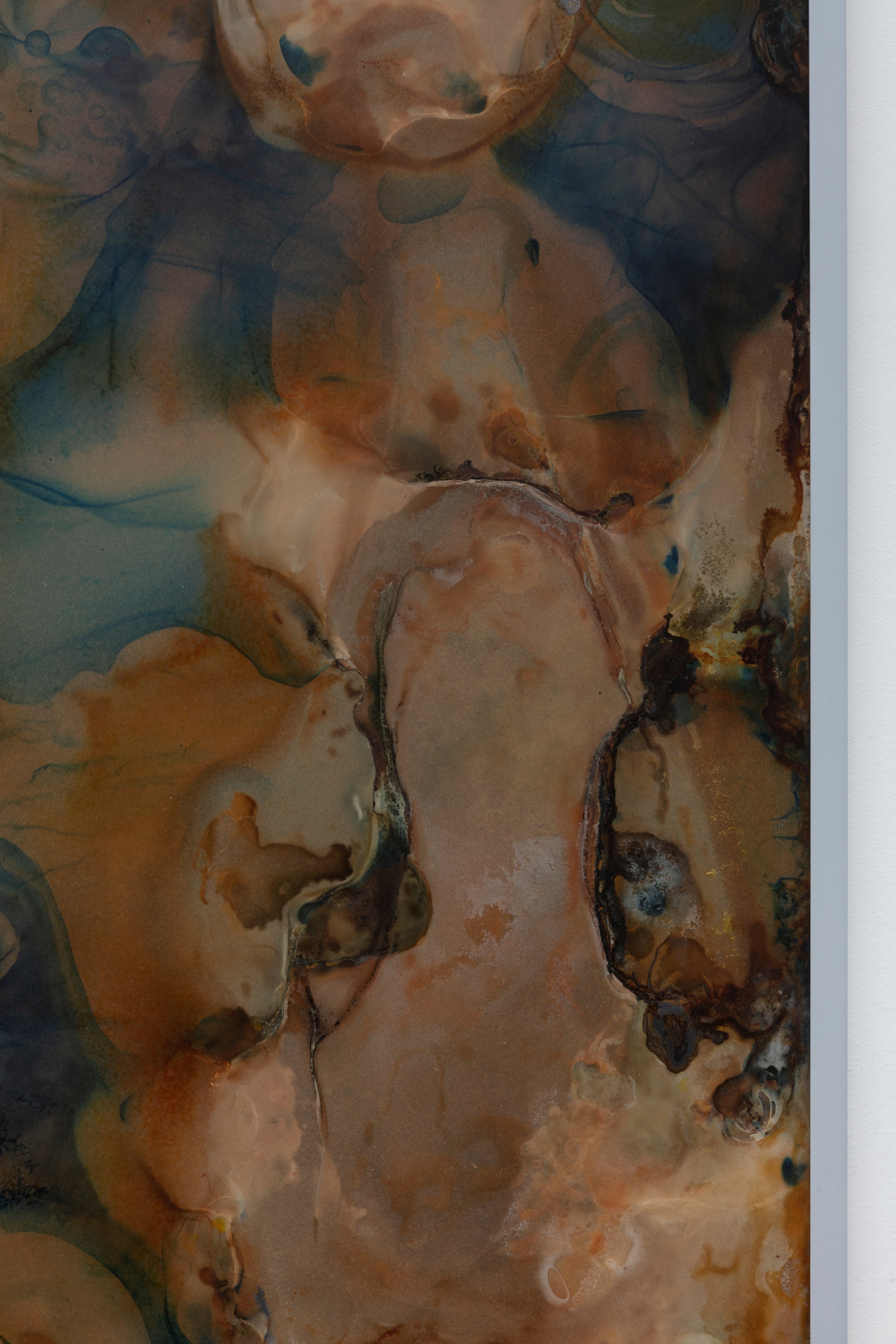 Ben Borden, Bloom at NOON Projects, photo 34