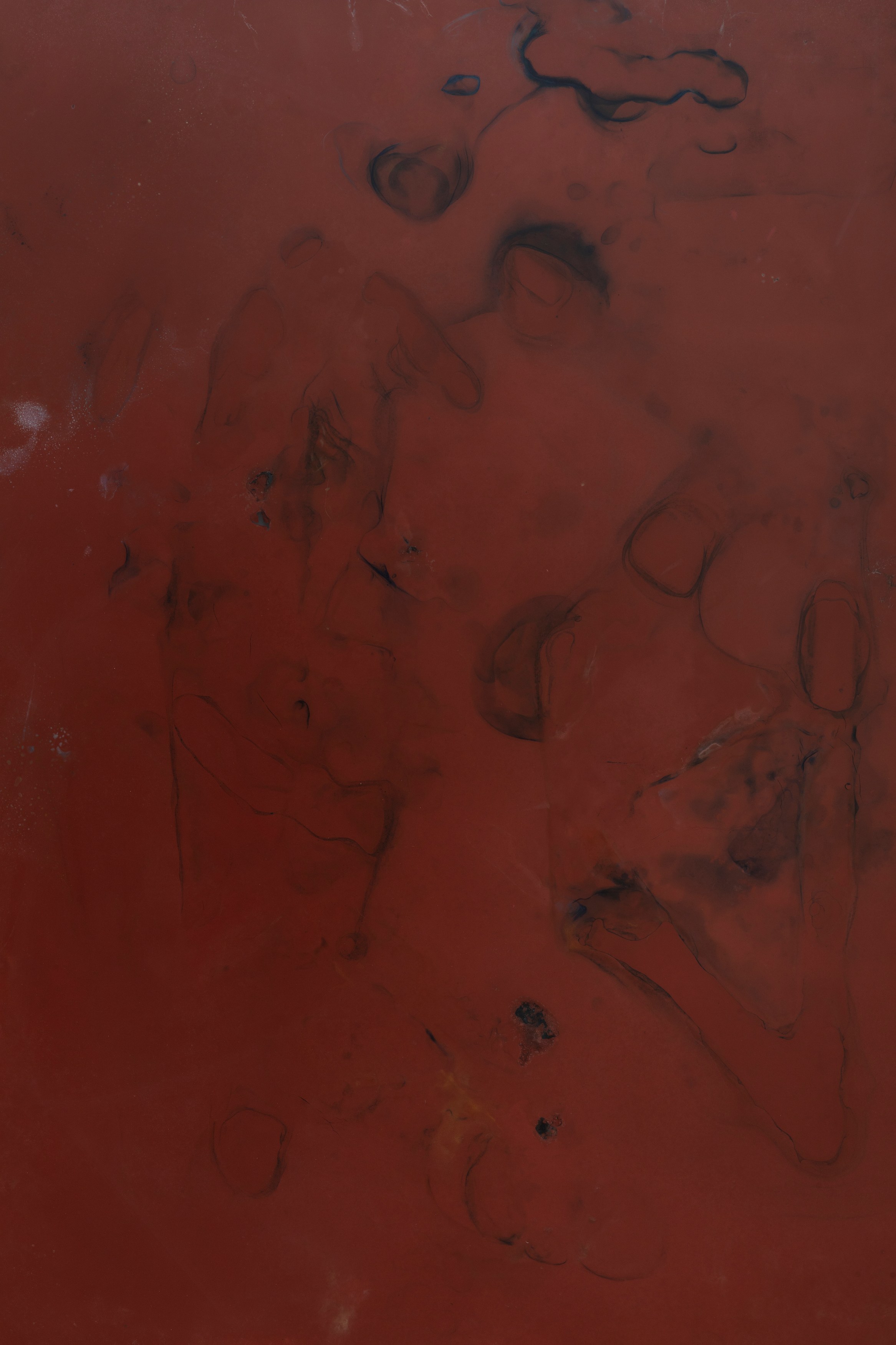 Ben Borden, Bloom at NOON Projects, photo 42