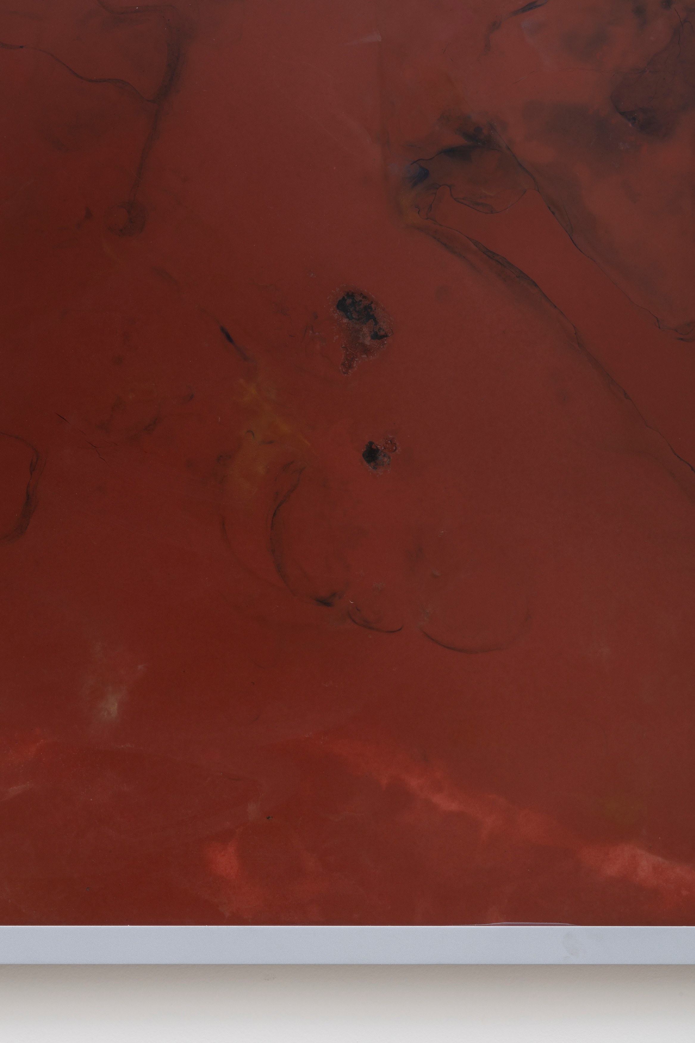 Ben Borden, Bloom at NOON Projects, photo 45
