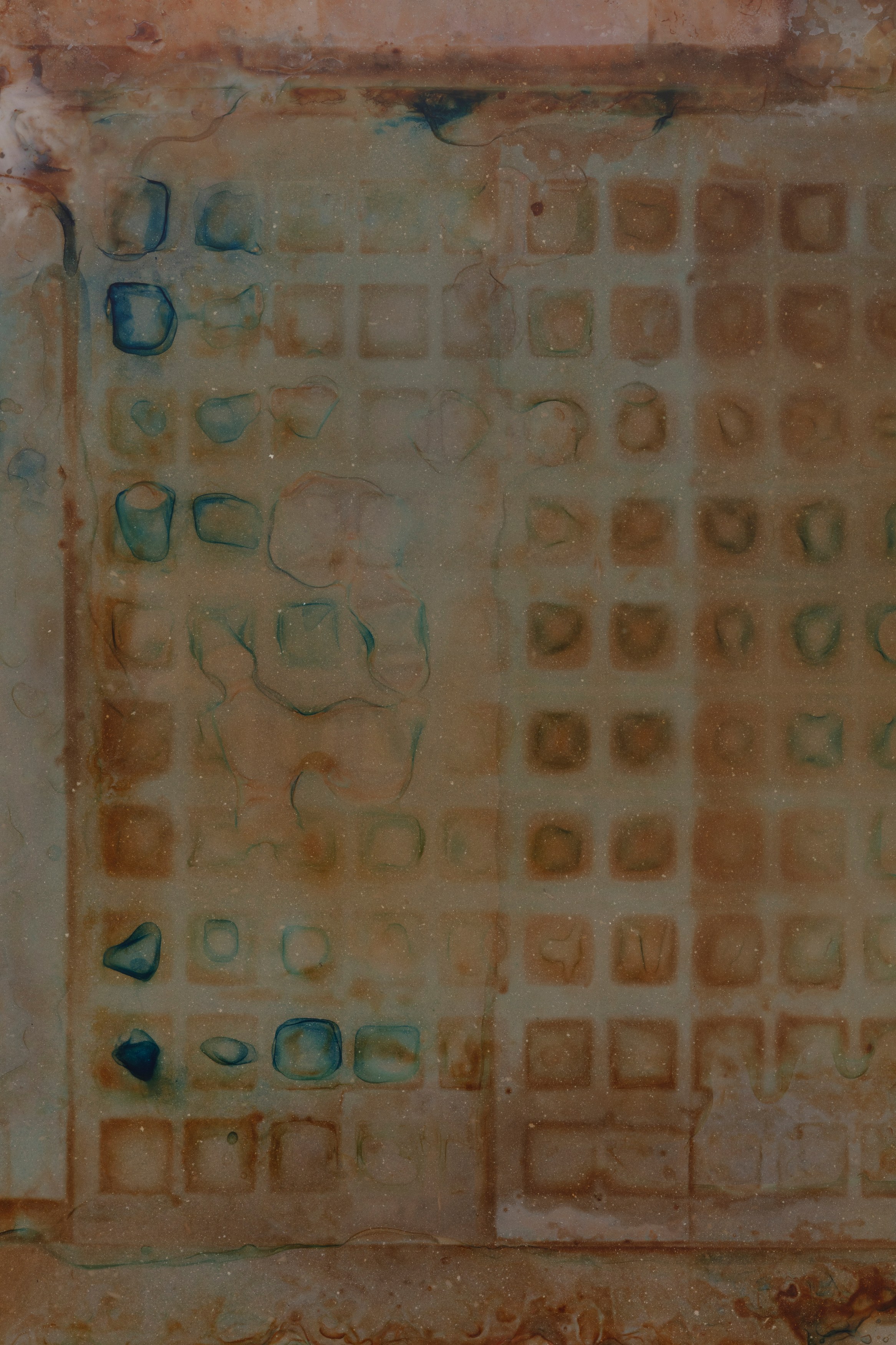 Ben Borden, Bloom at NOON Projects, photo 52