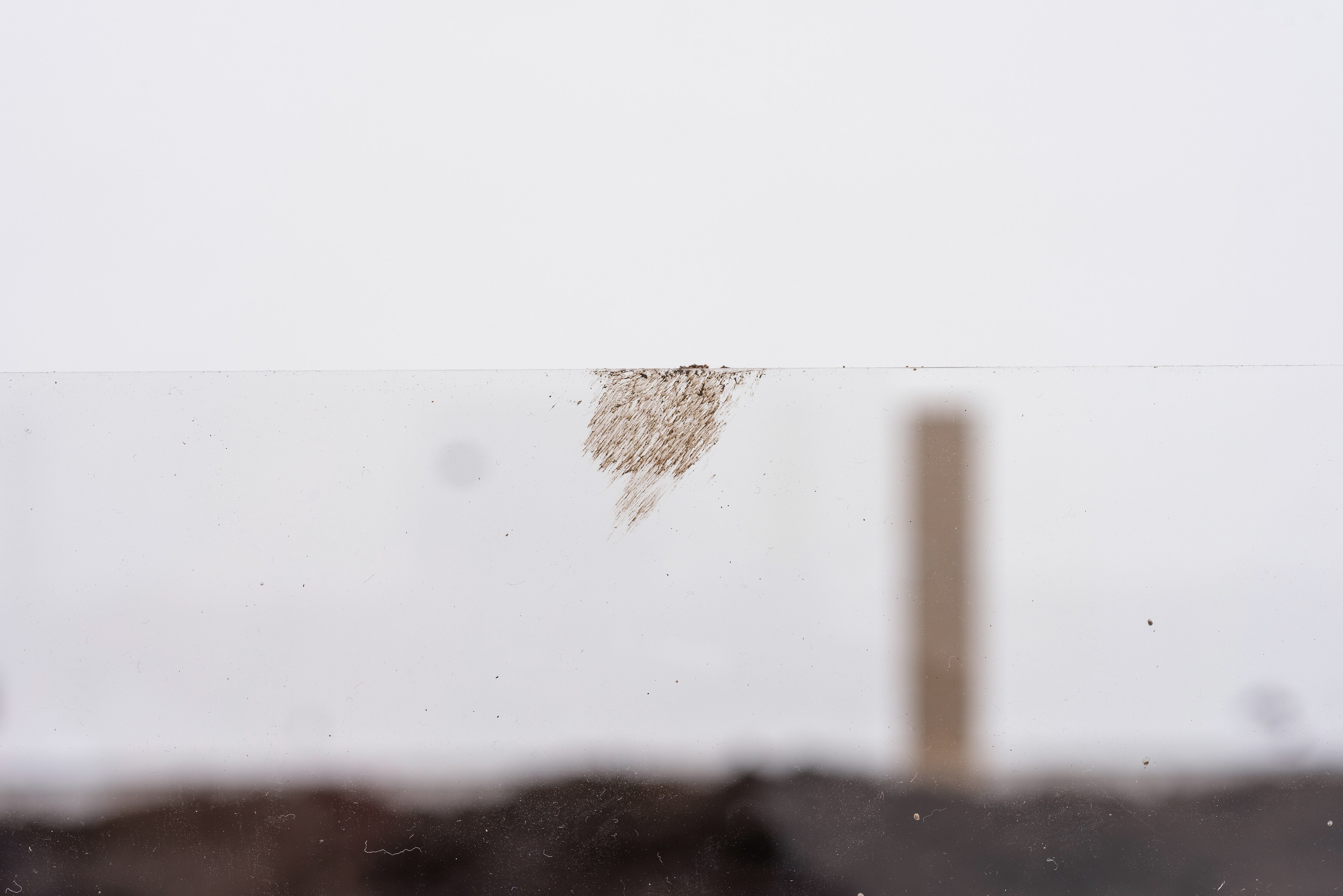Coumba Samba, Capital at Cell Project Space, photo 6