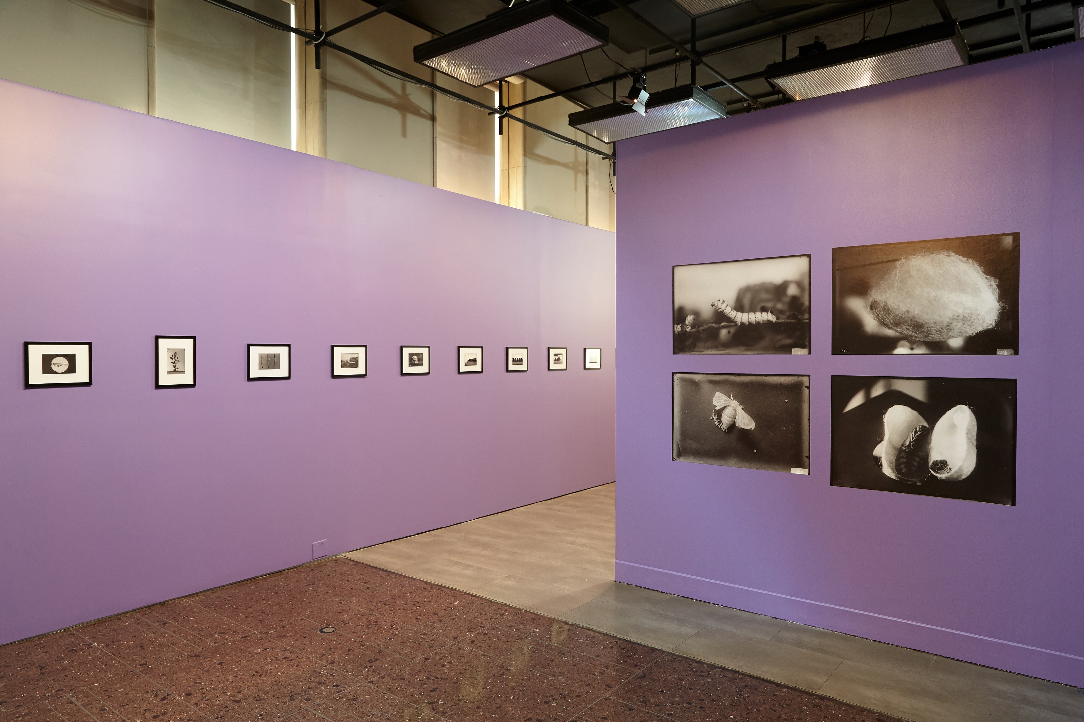 Andro Eradze, Taxonomies of Power: Photographic Encounters at the State Silk Museum, Tbilisi at Mishkin Gallery, Baruch College, photo 3