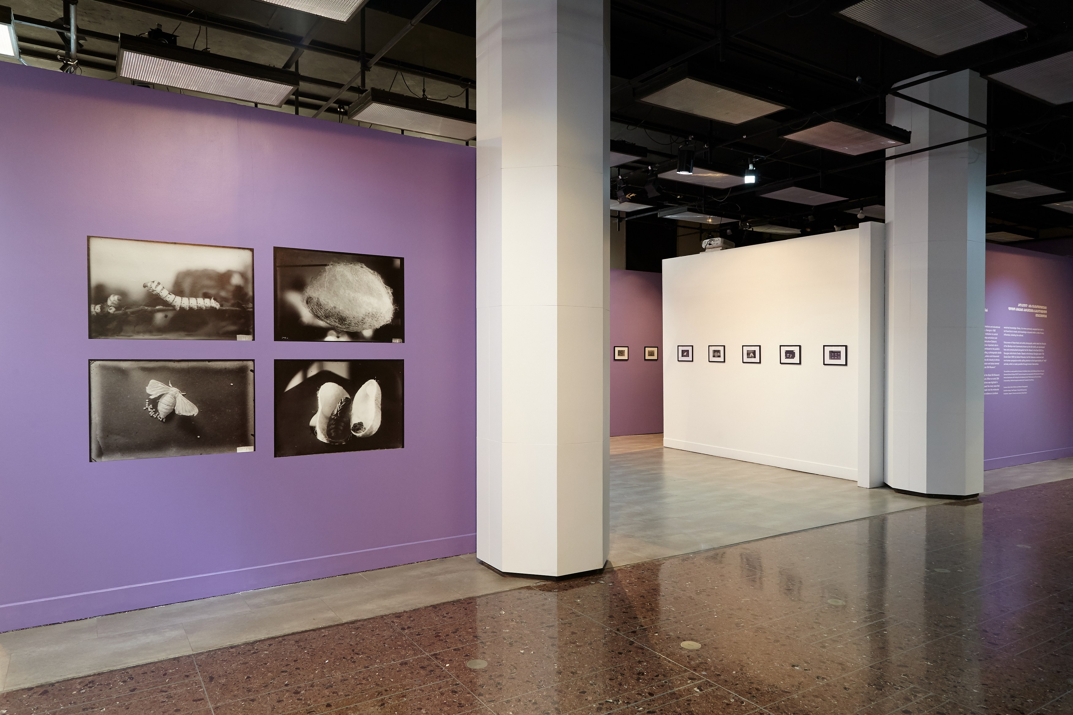 Andro Eradze, Taxonomies of Power: Photographic Encounters at the State Silk Museum, Tbilisi at Mishkin Gallery, Baruch College, photo 2