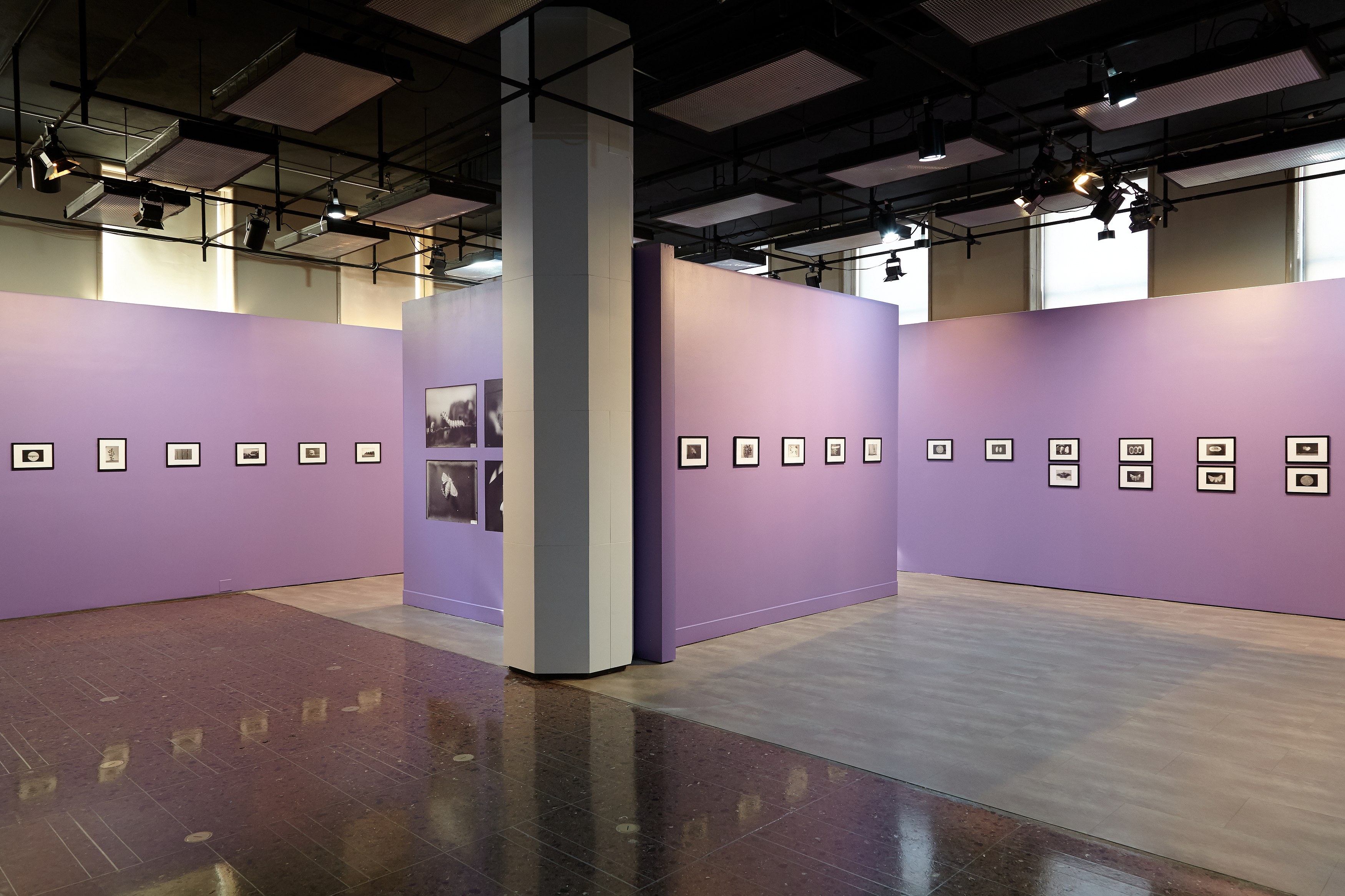 Andro Eradze, Taxonomies of Power: Photographic Encounters at the State Silk Museum, Tbilisi at Mishkin Gallery, Baruch College, photo 5