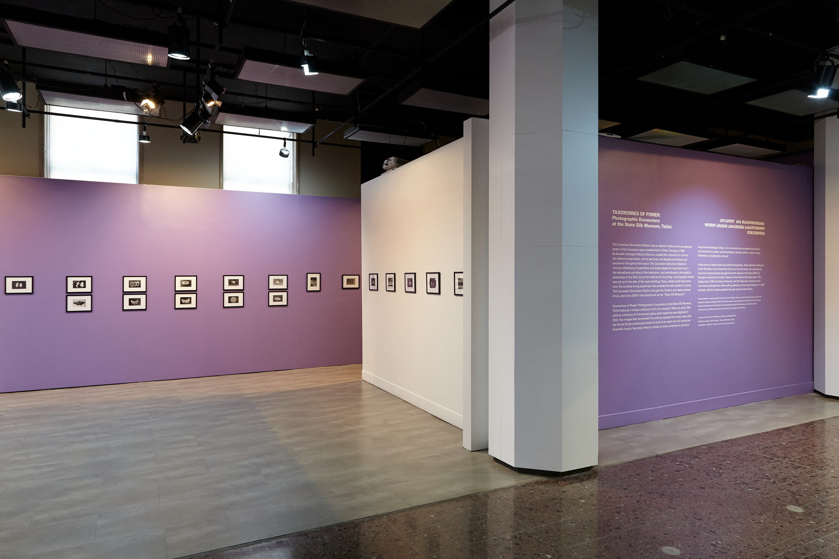 Andro Eradze, Taxonomies of Power: Photographic Encounters at the State Silk Museum, Tbilisi at Mishkin Gallery, Baruch College, photo 4