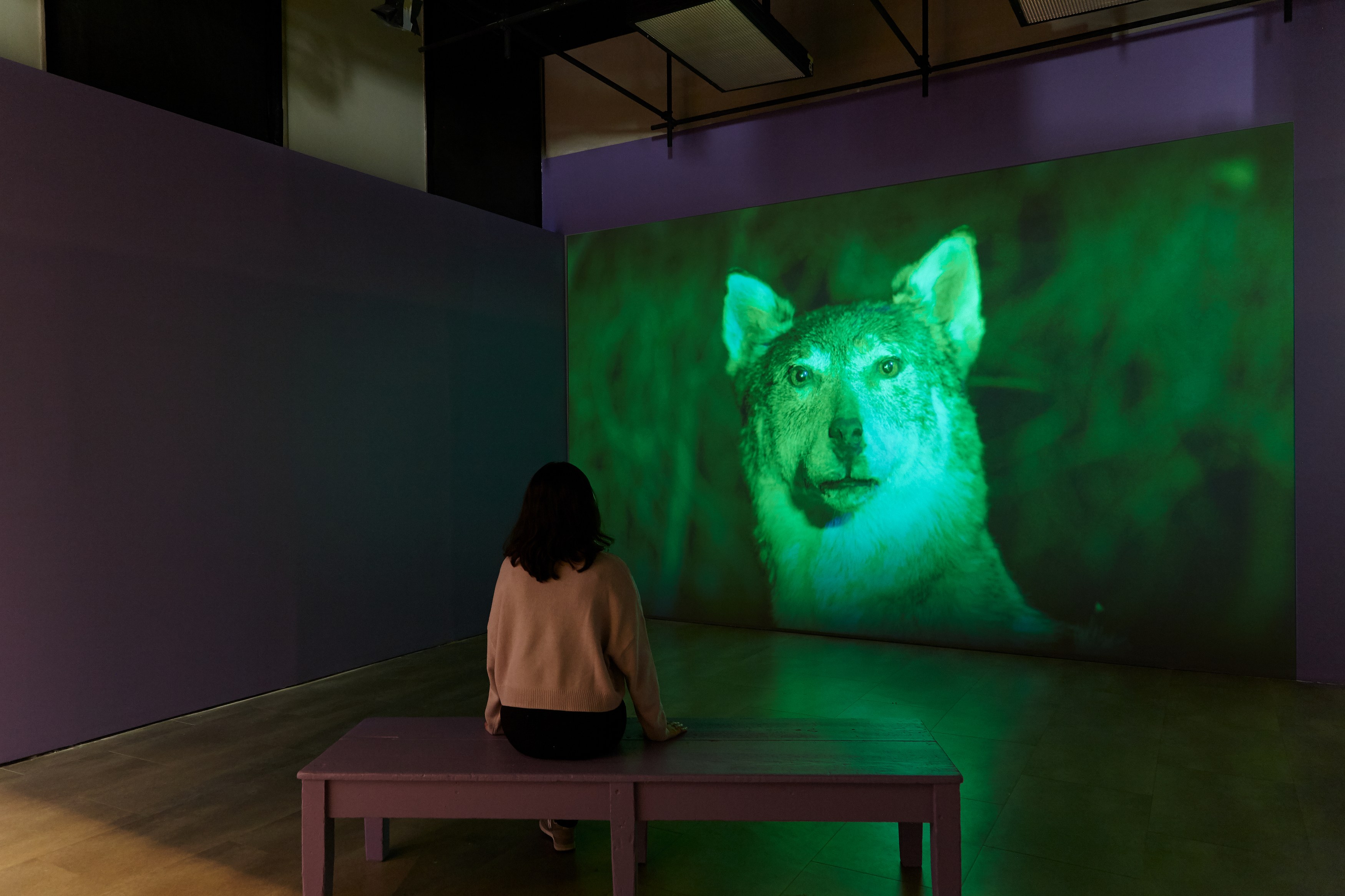 Andro Eradze, Taxonomies of Power: Photographic Encounters at the State Silk Museum, Tbilisi at Mishkin Gallery, Baruch College, photo 6