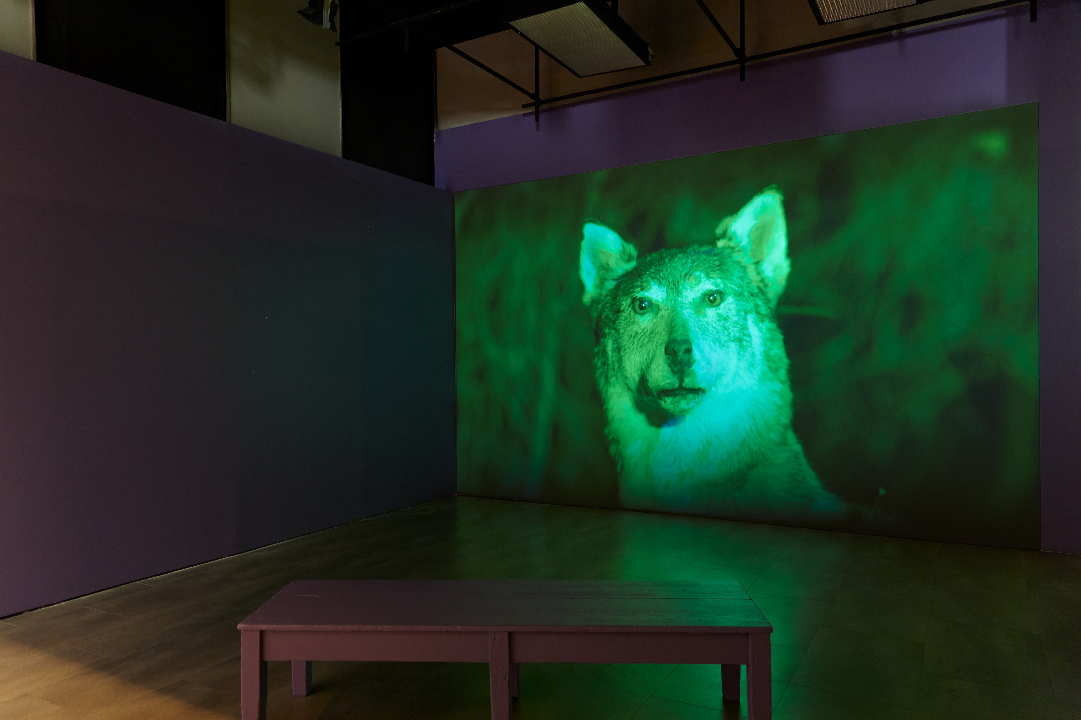 Andro Eradze, Taxonomies of Power: Photographic Encounters at the State Silk Museum, Tbilisi at Mishkin Gallery, Baruch College, photo 7