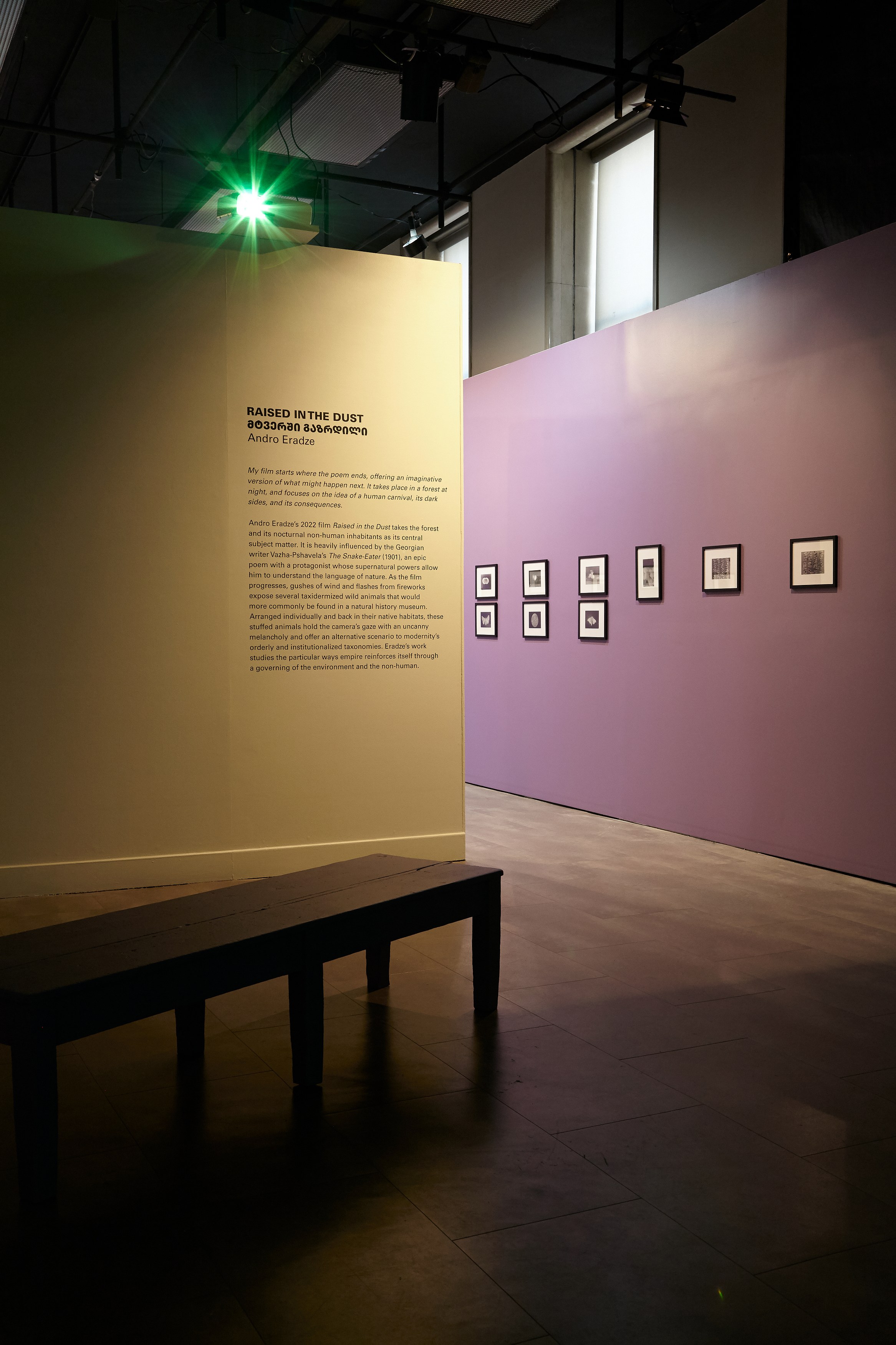 Andro Eradze, Taxonomies of Power: Photographic Encounters at the State Silk Museum, Tbilisi at Mishkin Gallery, Baruch College, photo 8