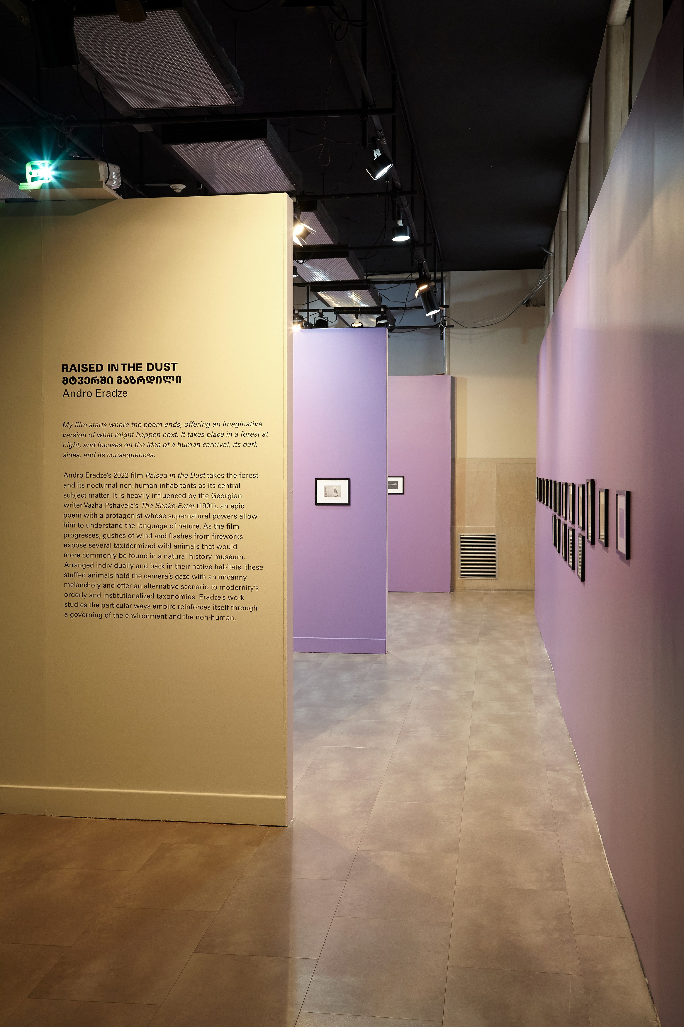 Andro Eradze, Taxonomies of Power: Photographic Encounters at the State Silk Museum, Tbilisi at Mishkin Gallery, Baruch College, photo 9