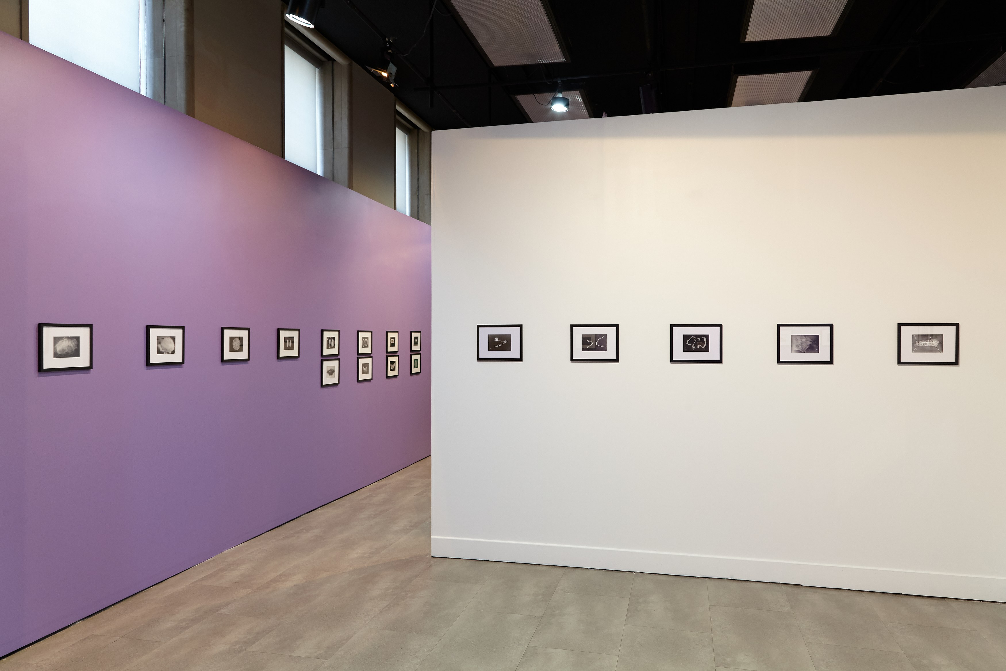 Andro Eradze, Taxonomies of Power: Photographic Encounters at the State Silk Museum, Tbilisi at Mishkin Gallery, Baruch College, photo 10