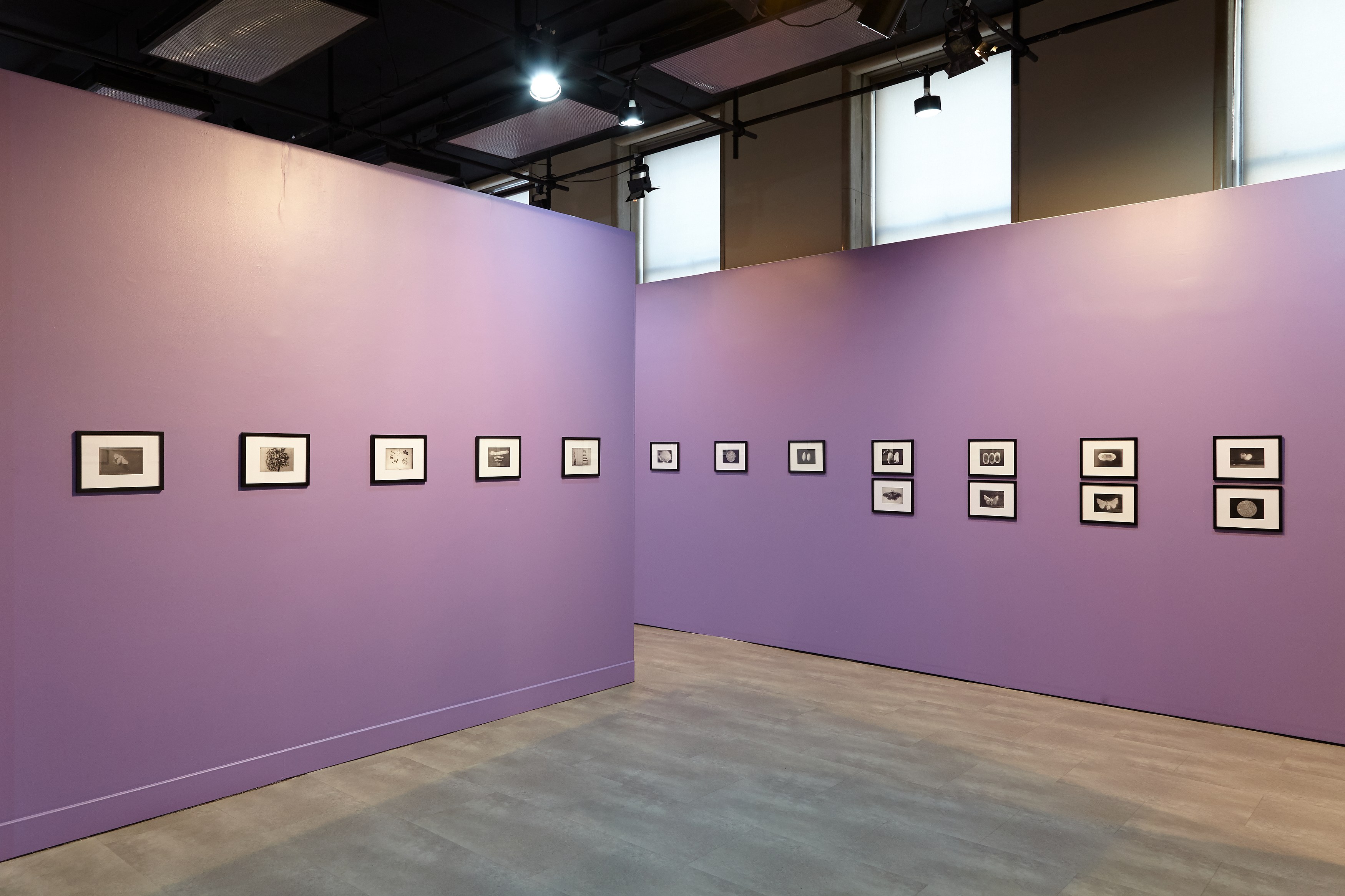 Andro Eradze, Taxonomies of Power: Photographic Encounters at the State Silk Museum, Tbilisi at Mishkin Gallery, Baruch College, photo 11