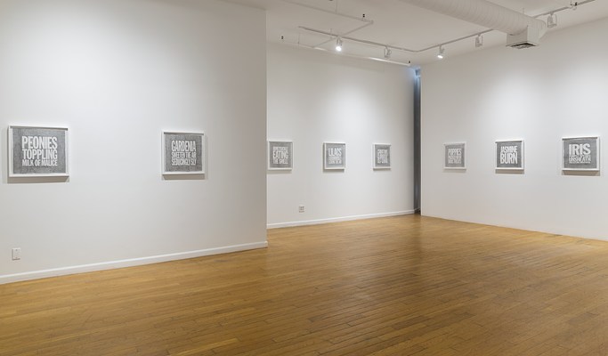 Image 8 of 29