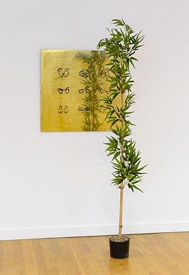 Image 16 of 20