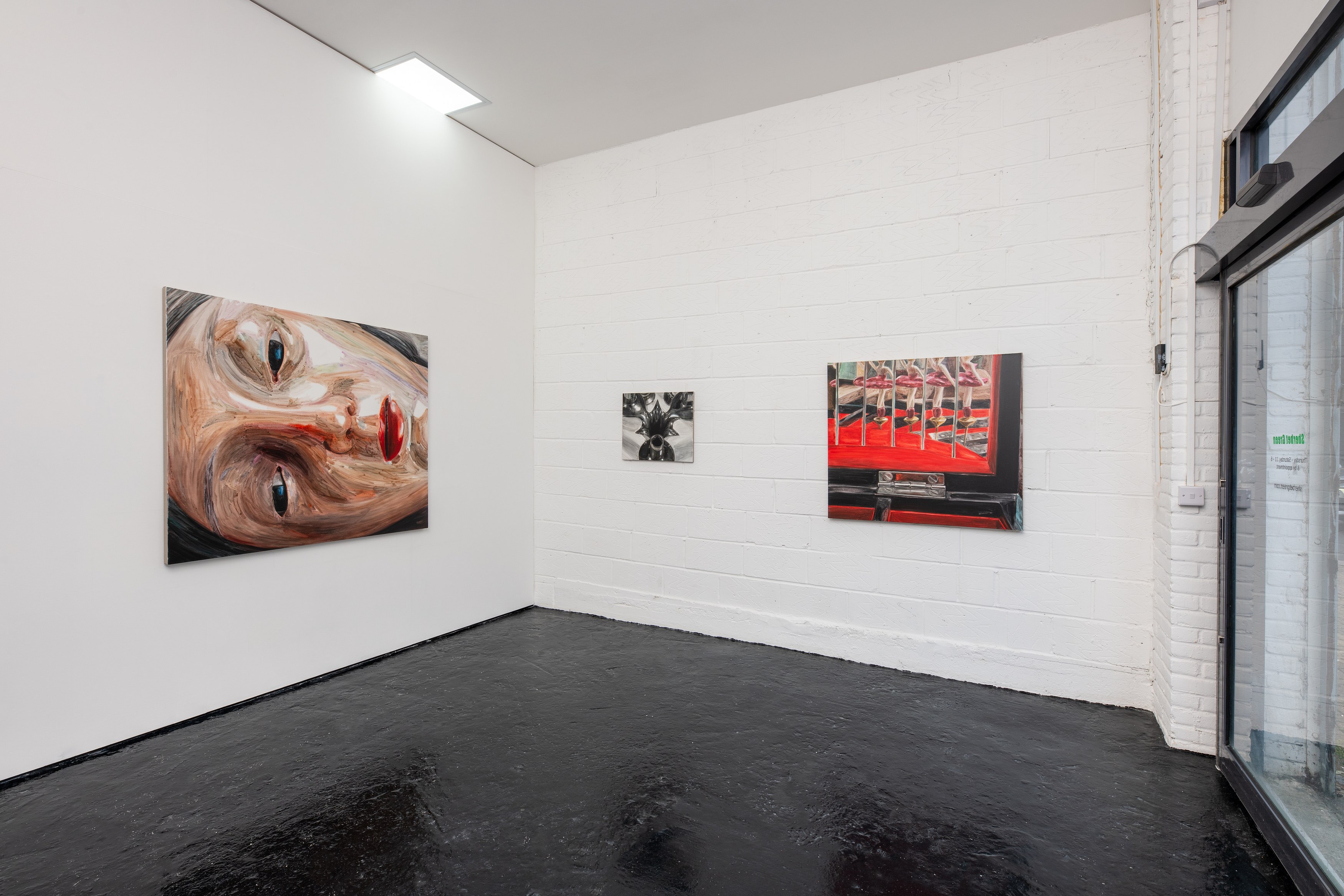 Luke Silva, Interface at Sherbet Green, photo 6