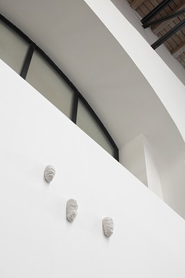 Image 7 of 13