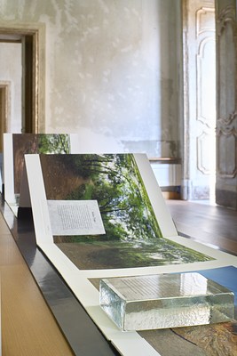Image 7 of 21