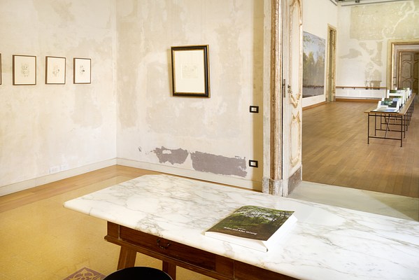 Image 17 of 21