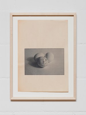 Image 14 of 31