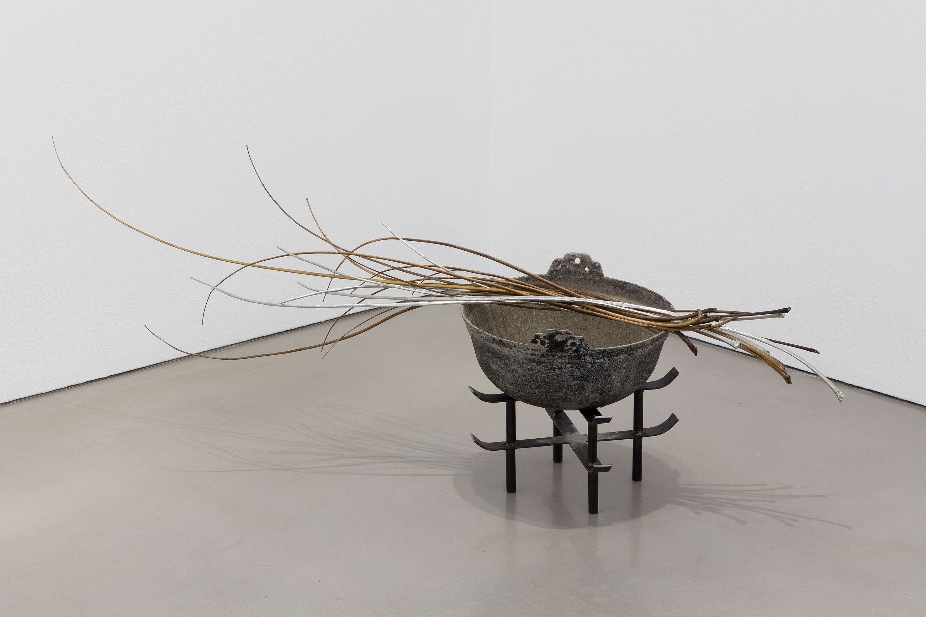 Anne Hardy, Survival Spell at Studio M, photo 9