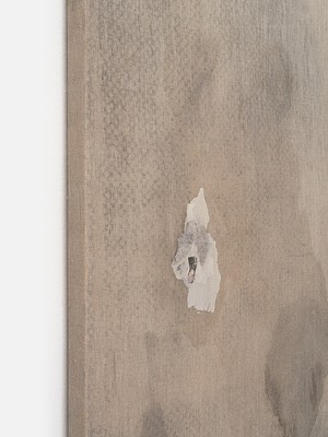 Image 16 of 23
