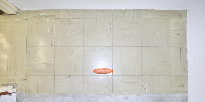 Image 4 of 17
