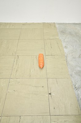 Image 5 of 17