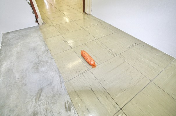 Image 8 of 17