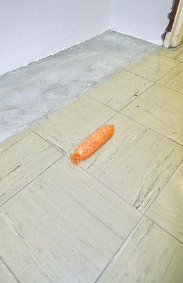 Image 7 of 17