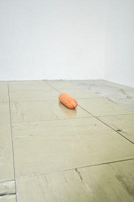 Image 12 of 17