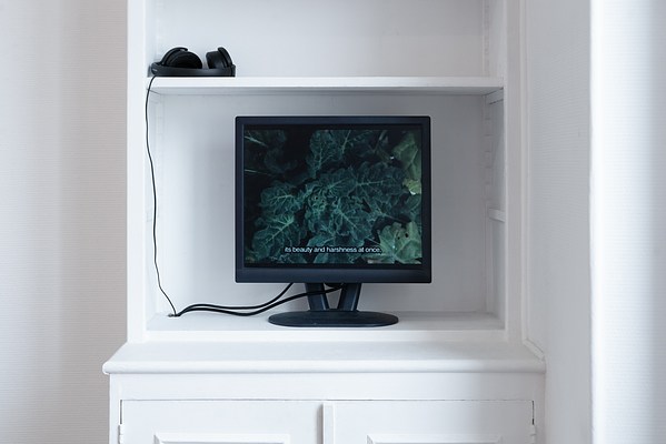 Image 2 of 29