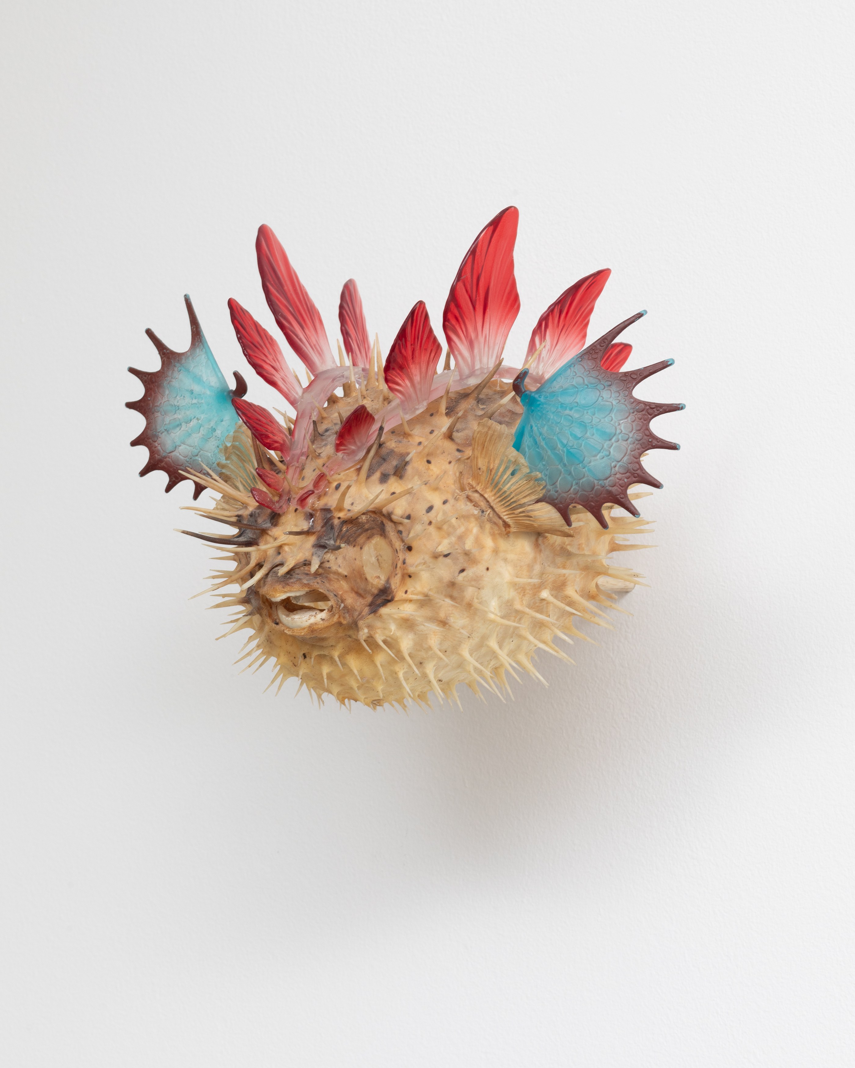 Betsy Bradley, Erin O'Keefe, Soft Semaphore at Seventeen, photo 23